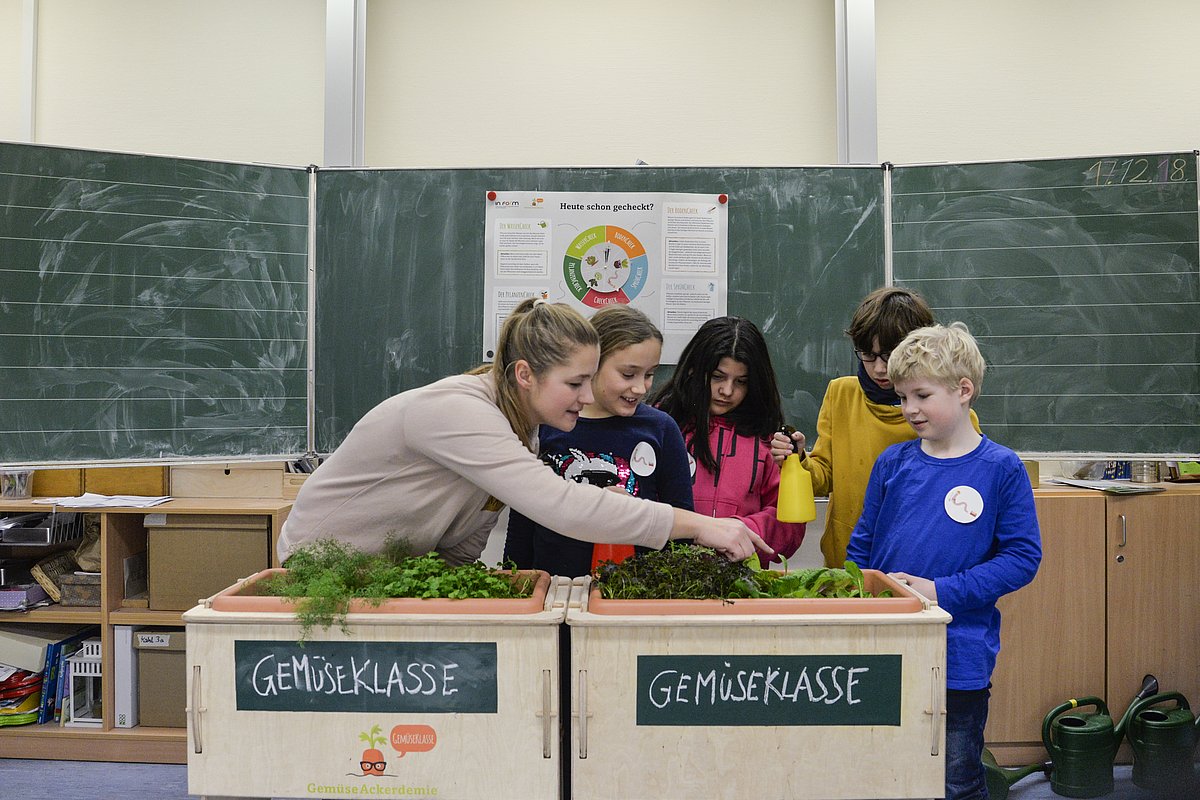 In einem Klassenraum stehen Schülerinnen, Schüler und eine Lehrerin vor zwei Kästen mit Pflanzen und der Aufschrift "Gemüseklasse".