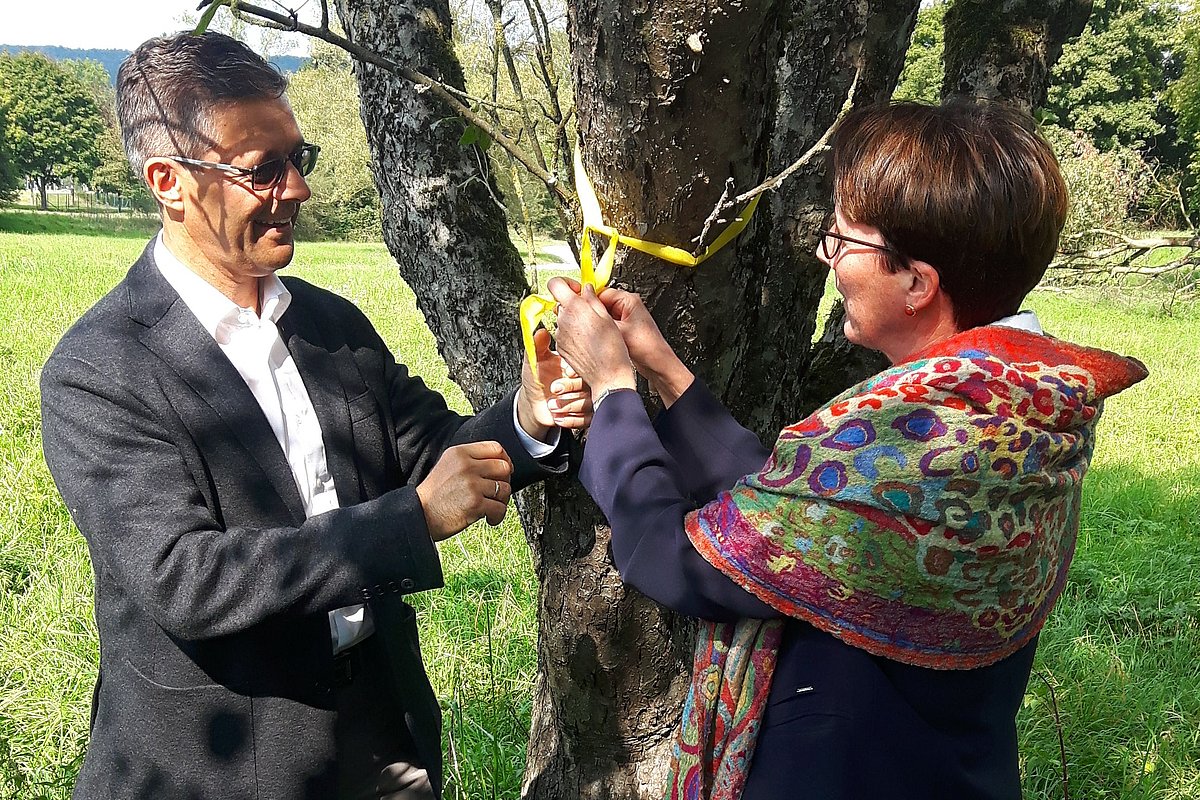 Zwei Personen, die ein gelbes Band um einen Baum binden