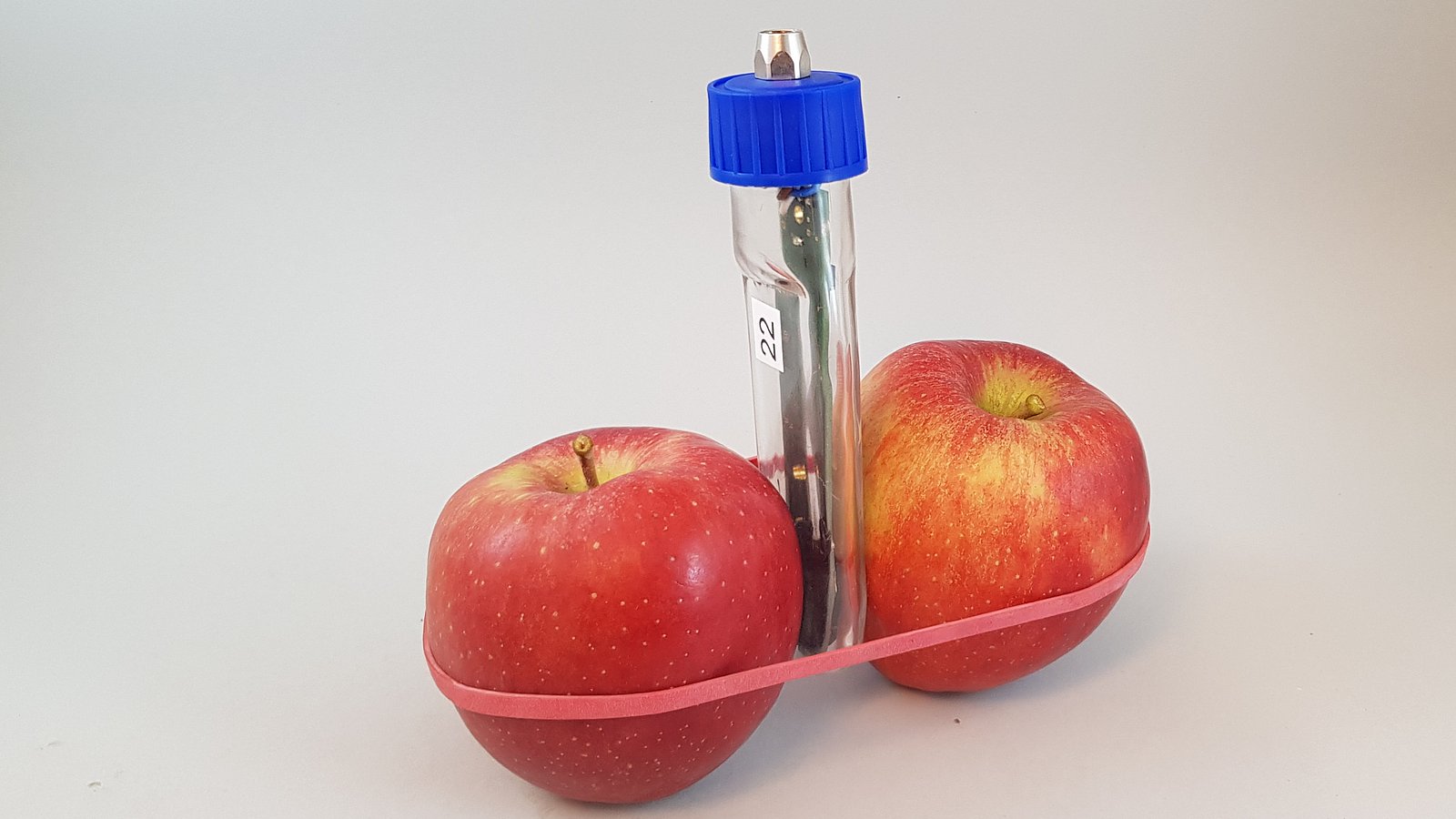 Zwei Äpfel mit einem Fluoreszenzmessgerät in der Mitte